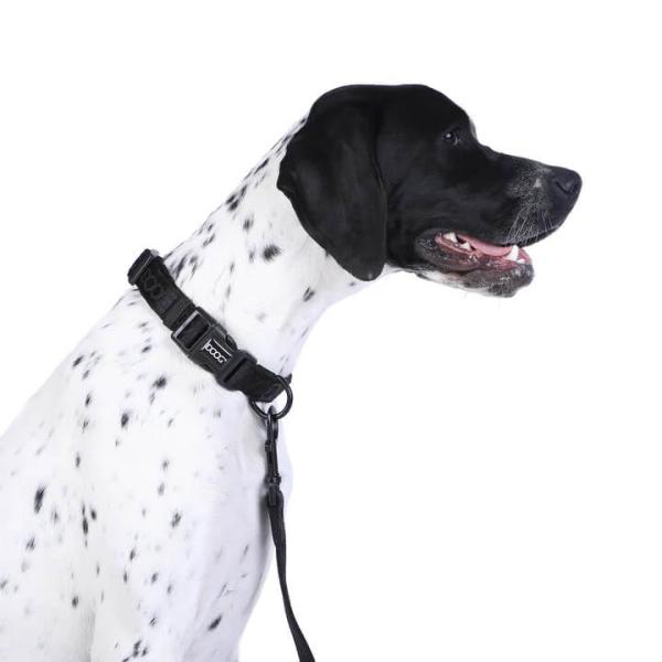 Doog - Neosport Neoprene Dog Collar - black Gr. S Doog - Neosport Neoprene Dog Collar - black Gr. S